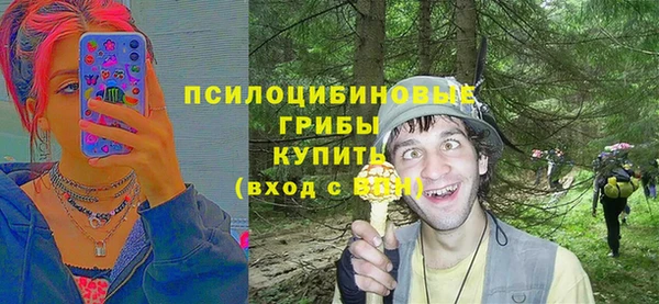 МДПВ Абдулино