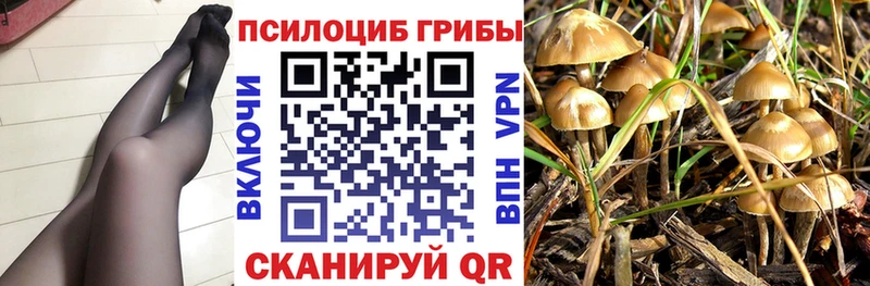 Галлюциногенные грибы мицелий  Элиста 