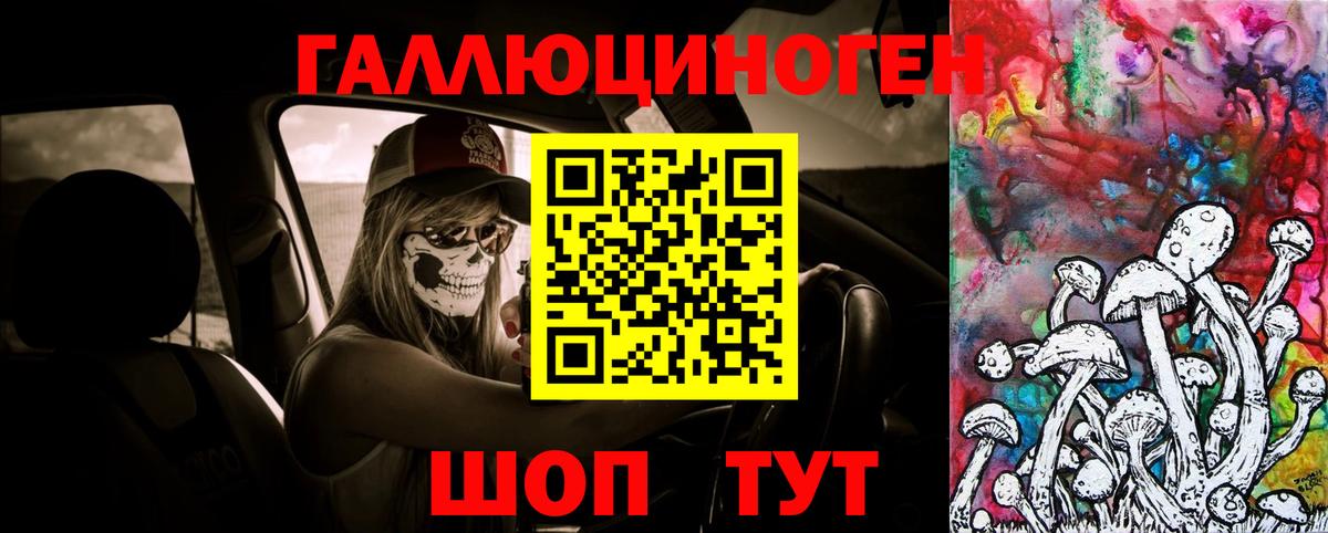 Галлюциногенные грибы Cubensis Элиста