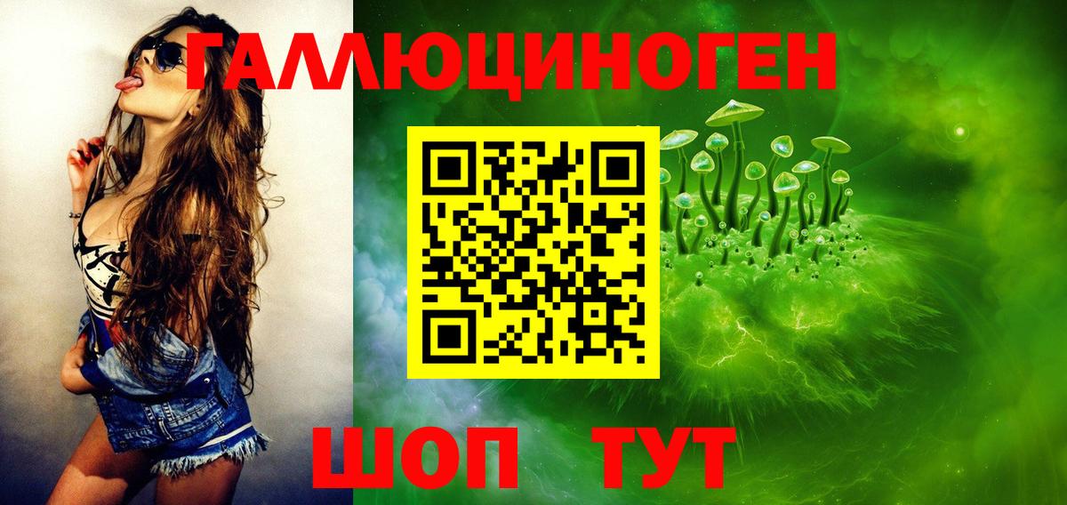 закладки  Галлюциногенные грибы Psilocybine cubensis  Вход с VPN  Элиста 